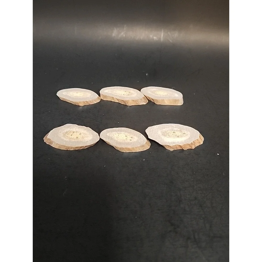 6 Piece Set Of Raw‎ Antler Buttons 1.25